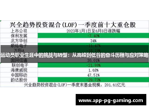 运动员职业生涯中的挑战与转型：从高峰到低谷的奋斗历程与应对策略
