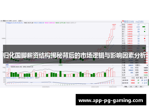 归化国脚薪资结构揭秘背后的市场逻辑与影响因素分析