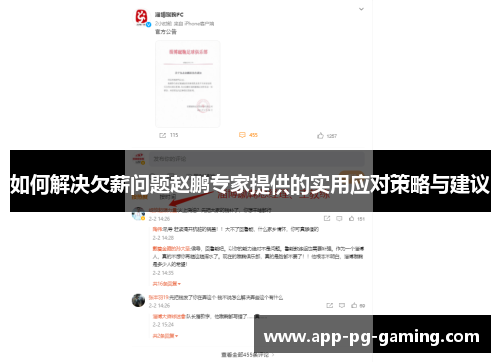 如何解决欠薪问题赵鹏专家提供的实用应对策略与建议