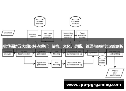 斯坦福桥五大组织特点解析：结构、文化、战略、管理与创新的深度剖析