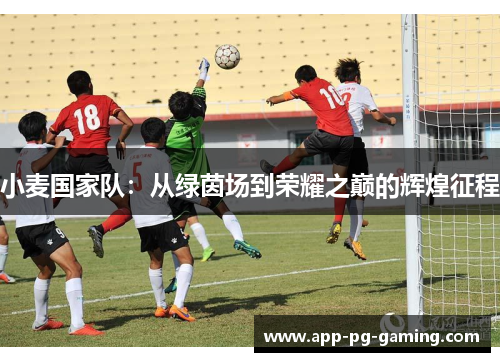 小麦国家队：从绿茵场到荣耀之巅的辉煌征程