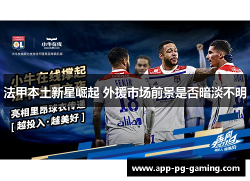 法甲本土新星崛起 外援市场前景是否暗淡不明 法甲本土新星崛起 外援市场前景是否暗淡不明